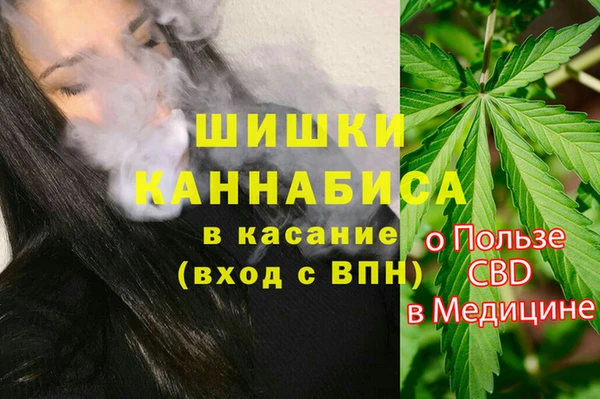 МДПВ Верхний Тагил