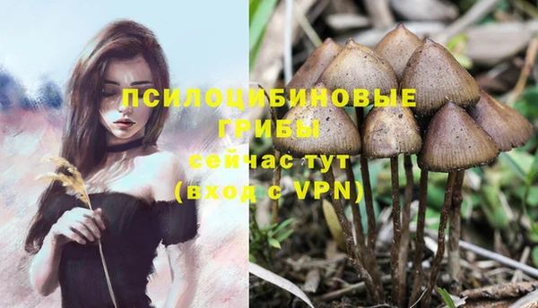 амф Верхнеуральск