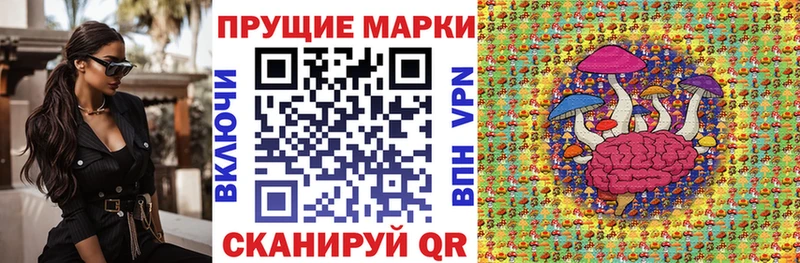 Марки NBOMe 1,8мг Купить Чебаркуль