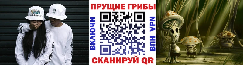 Купить Чебаркуль Галлюциногенные грибы GOLDEN TEACHER